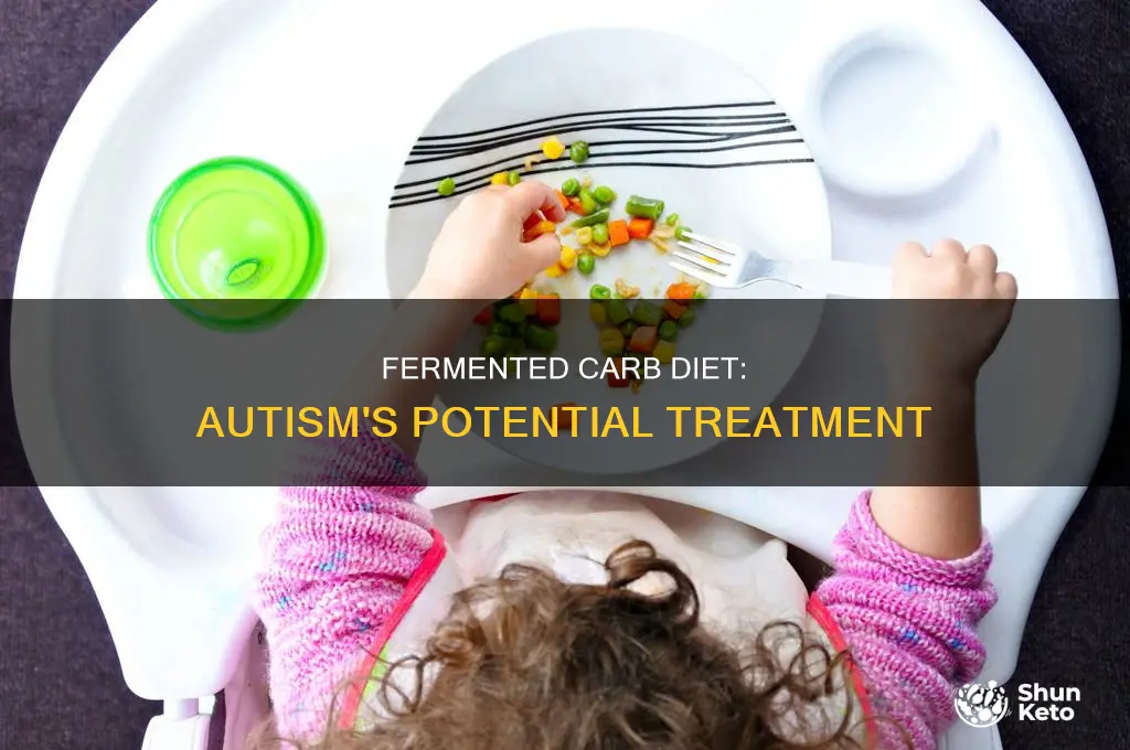 what is fermentable carb diet for autism called