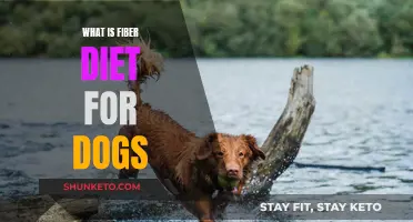 Fiber Diet for Dogs: What You Need to Know
