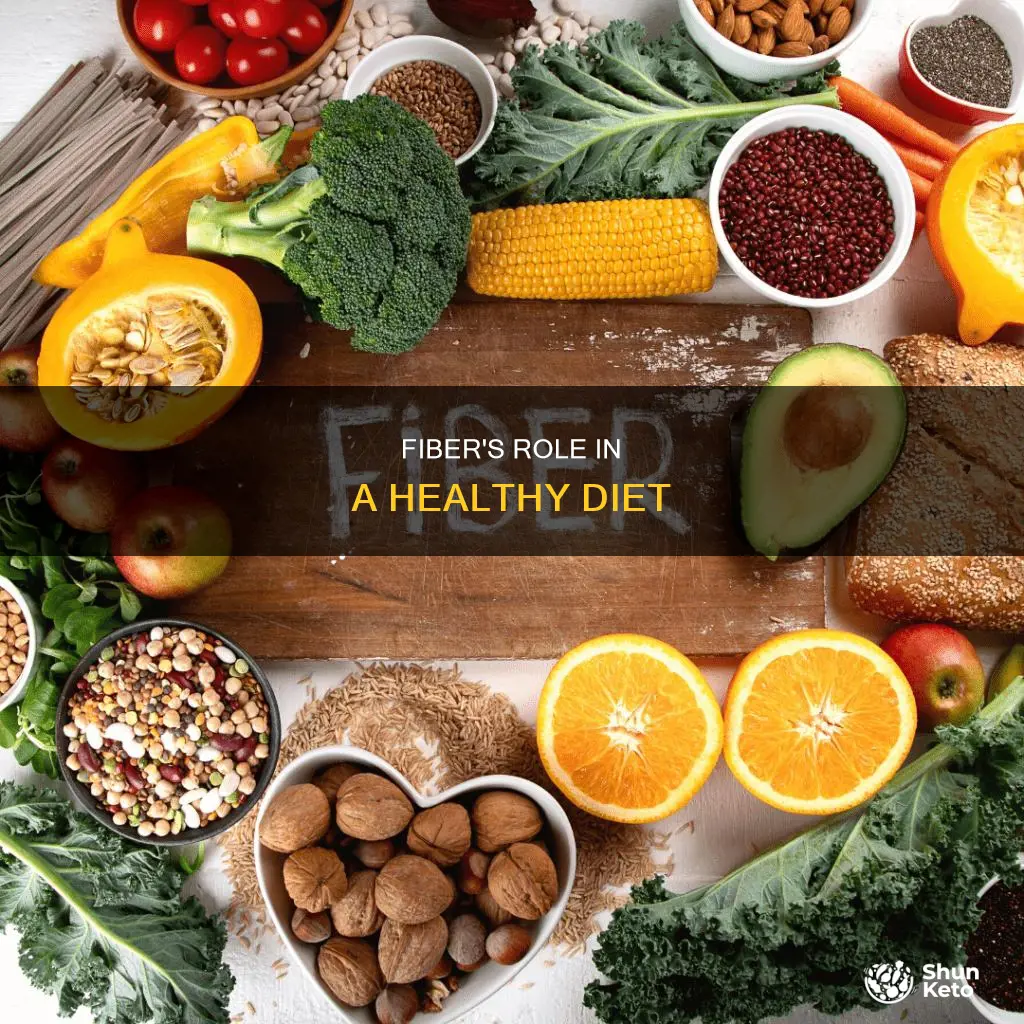 what is fibre in a balanced diet