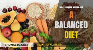 Fiber's Role in a Healthy Diet