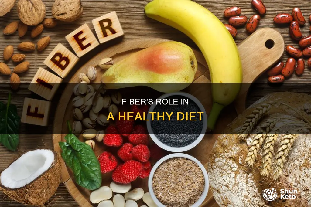 what is fibre needed for a balanced diet