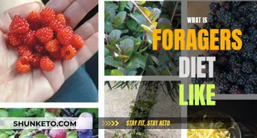 Foragers' Diet: Nature's Bounty on the Plate