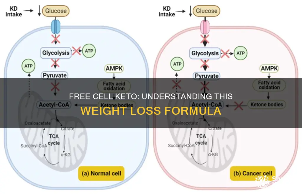 what is free cell keto