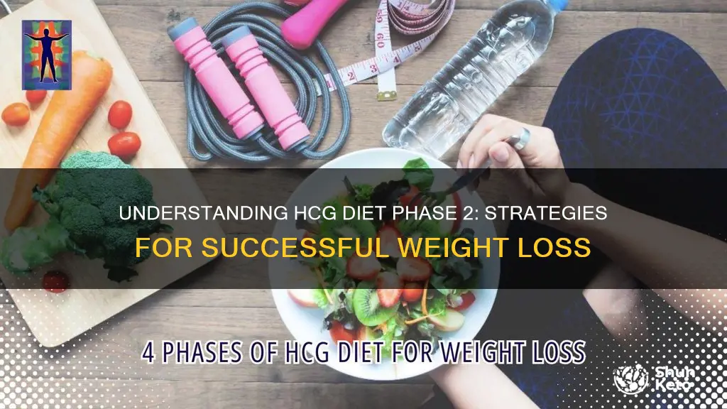 what is hcg diet phase 2