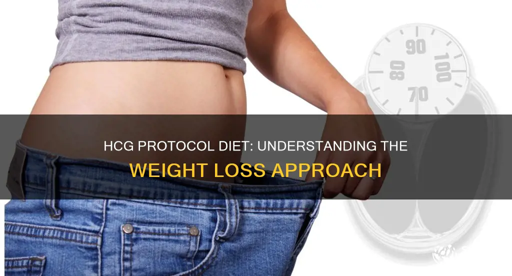 what is hcg protocol diet