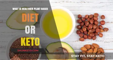 Plant-Based vs. Keto: Which Diet Boosts Health and Wellness?