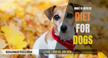 Hepatic Diet for Dogs: What You Need to Know