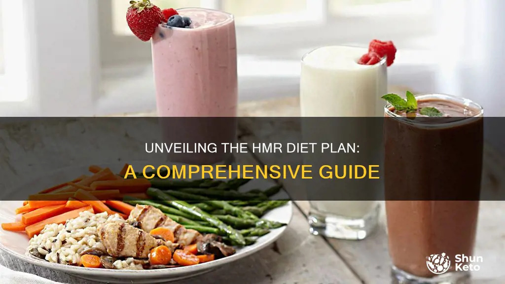 what is hmr diet plan