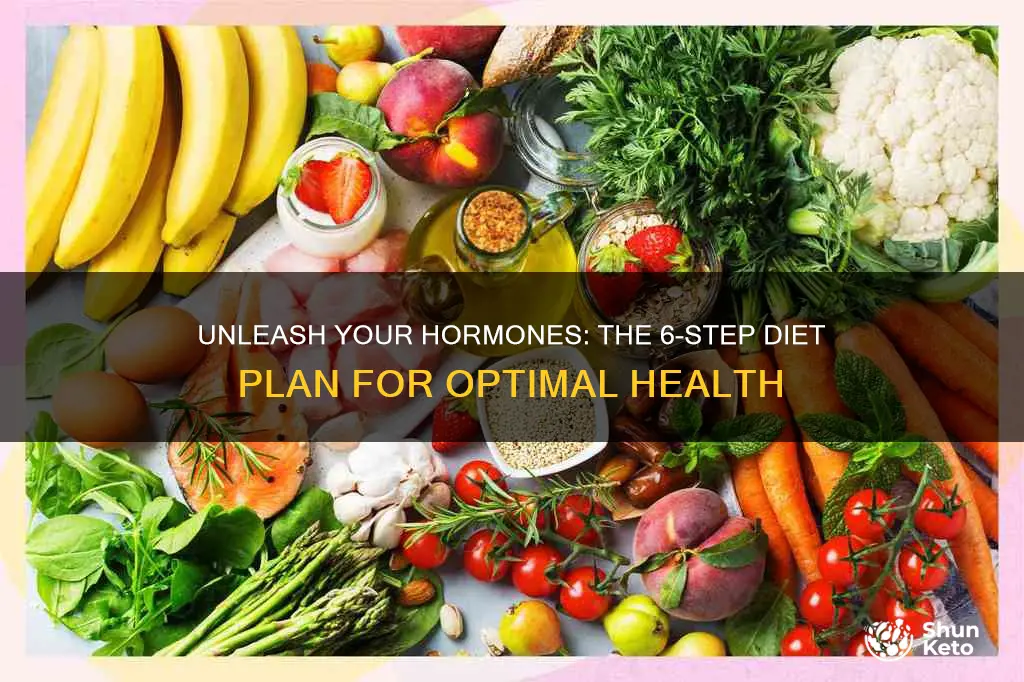 what is hormone type 6 diet plan