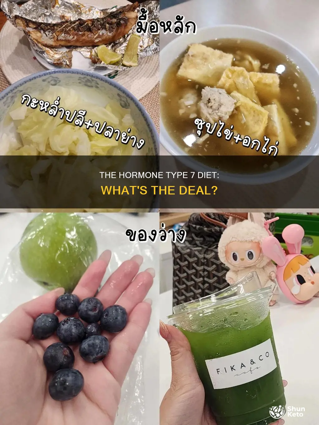 what is hormone type 7 diet