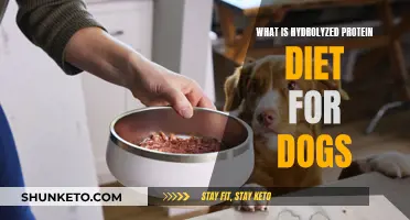 Hydrolyzed Protein Dog Diet: What You Need to Know