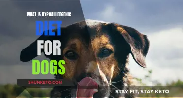Hypoallergenic Diet for Dogs: Understanding the Basics