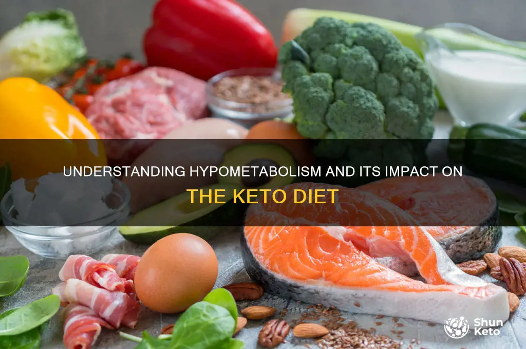 what is hypometabolism keto diet