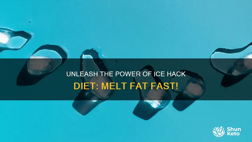 what is ice hack diet plan