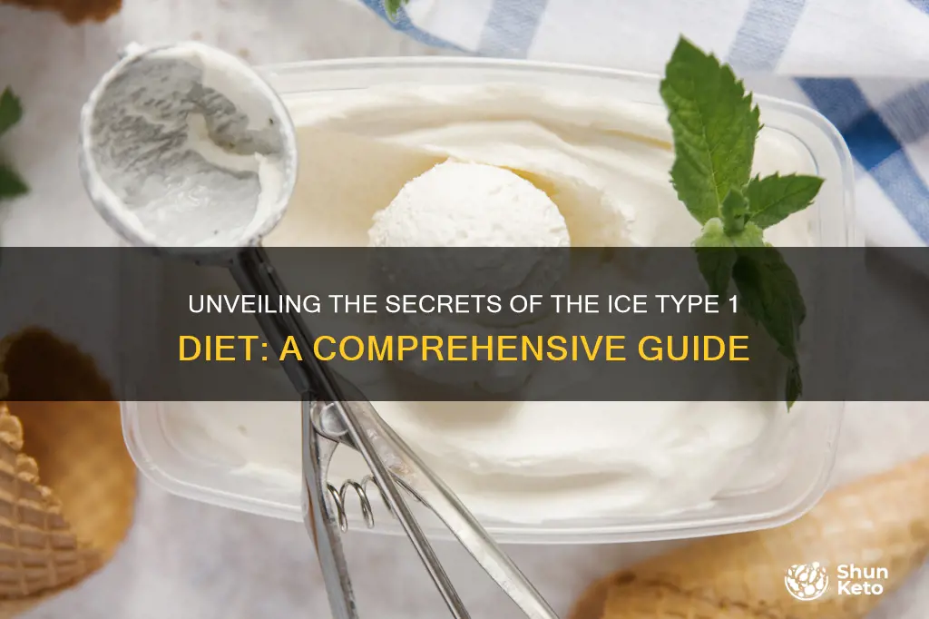 what is ice type 1 diet plan