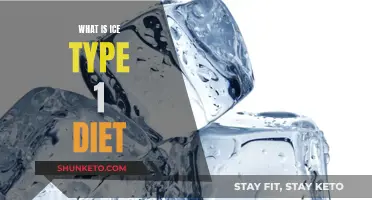 Unveiling the Ice Type 1 Diet: A Comprehensive Guide