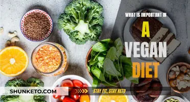 Vegan Diets: The Essential Nutrients You Need