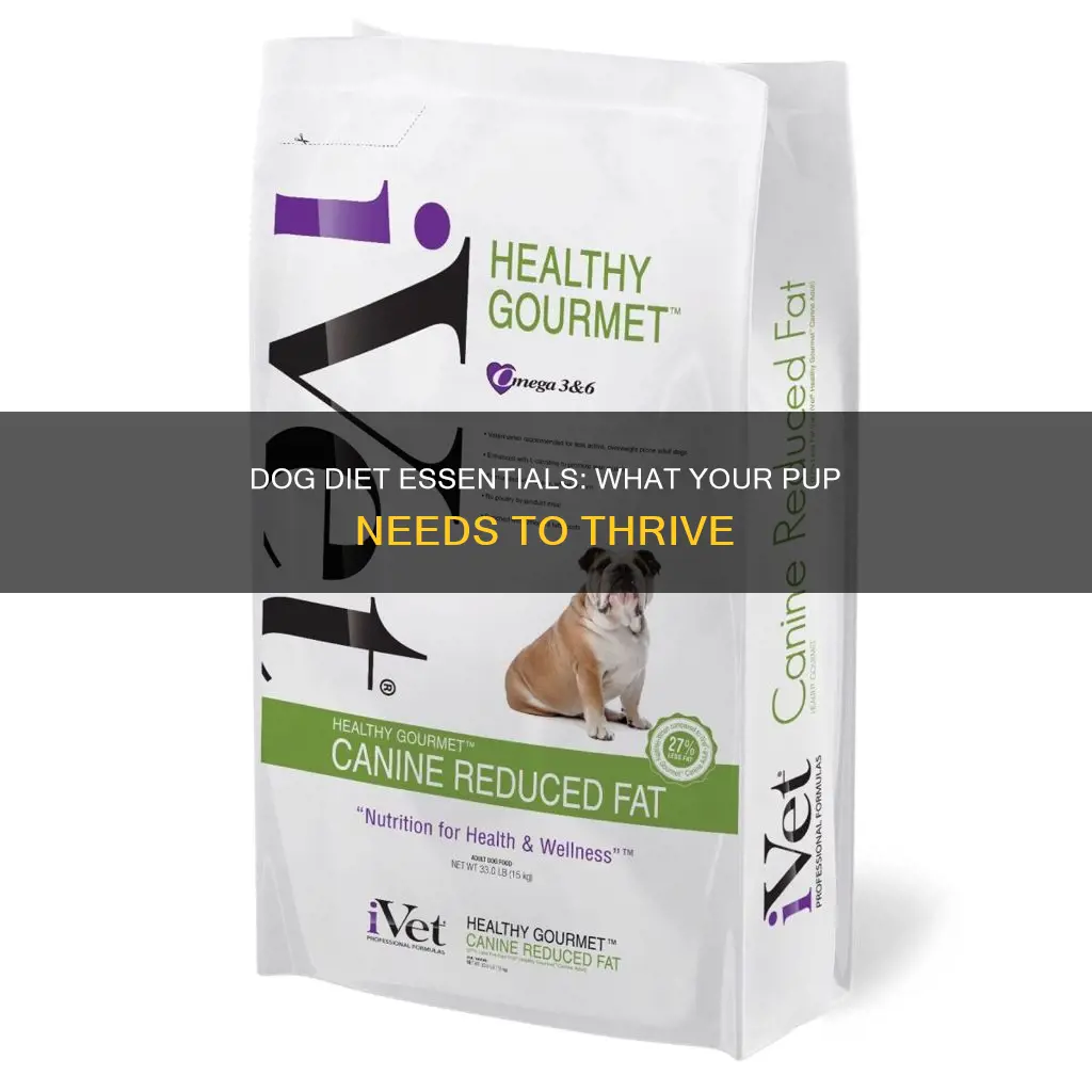 what is important to have in a dogs diet
