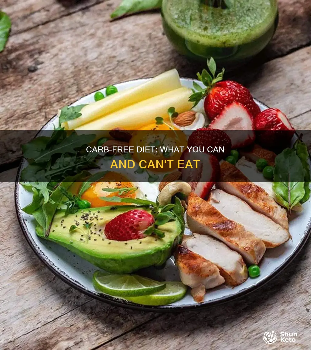 what is included in a no carbs diet