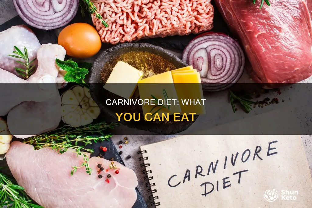 what is included in carnivore diet
