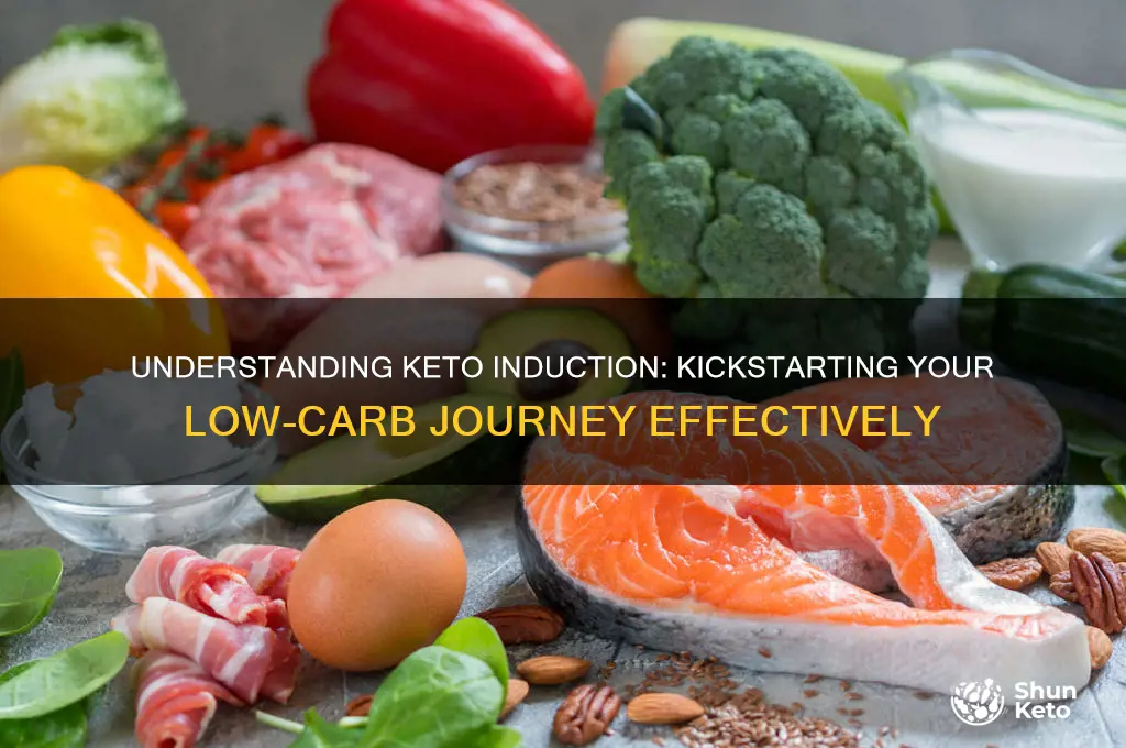 what is induction in keto diet
