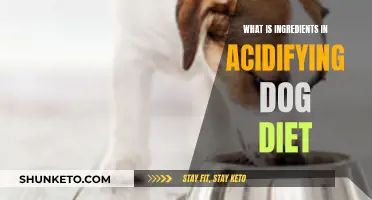 Dog Diet Acidifying Ingredients: What's in the Bowl?