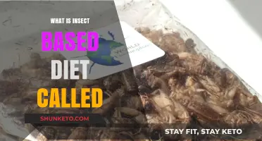 Entomophagy: Insect-Based Diets Explained