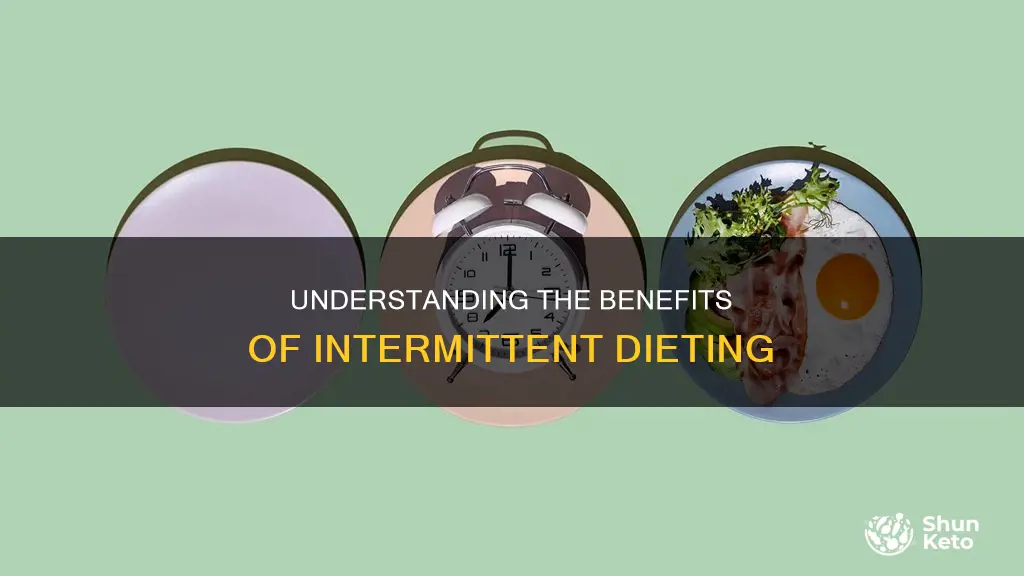 what is intermittent diet plan