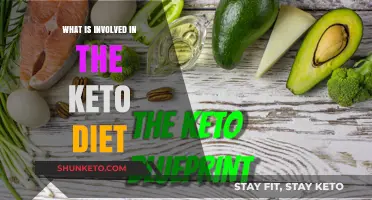 Understanding the Keto Diet: Key Components and Lifestyle Changes