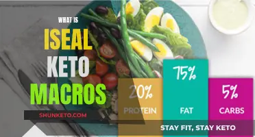 Keto Macros for Beginners: ISEAL Method Explained