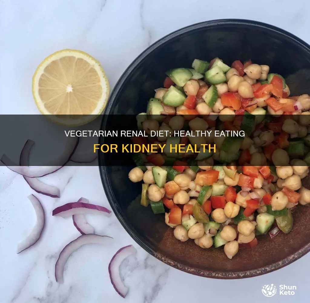 what is it vegetarian renal diet
