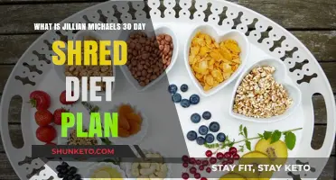 Jillian Michaels' 30-Day Shred: A Comprehensive Guide to Getting Fit