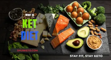 Understanding the Ketogenic Diet: Benefits, Basics, and How It Works