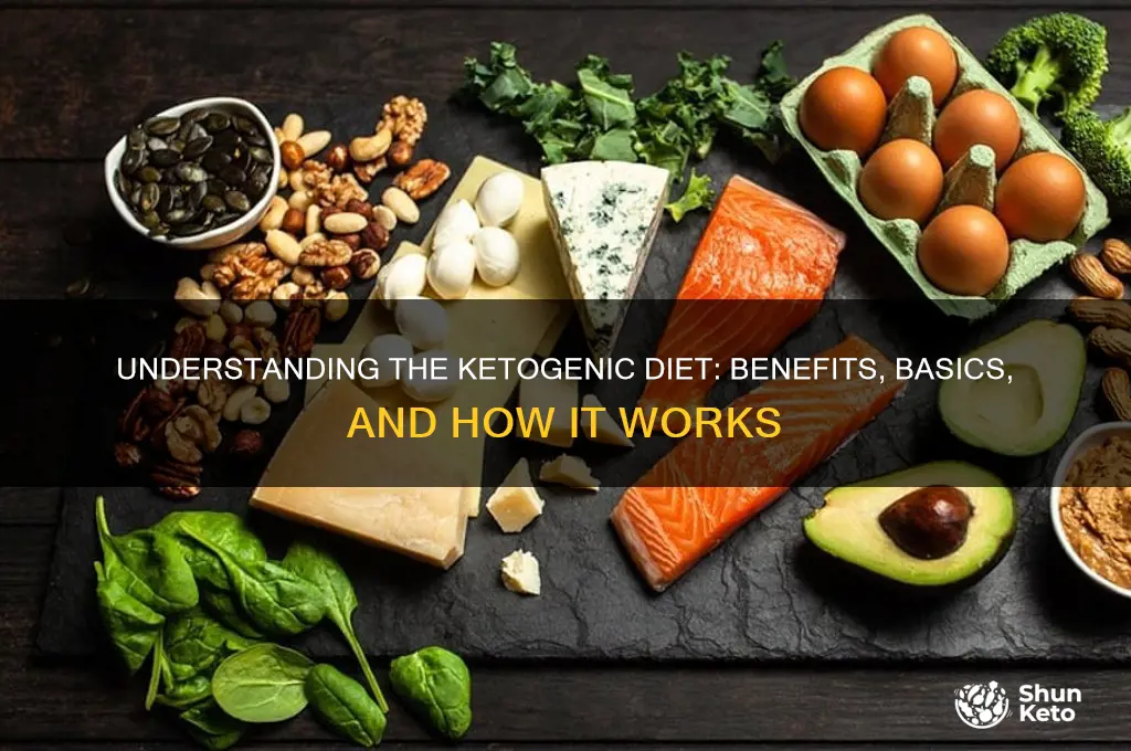 what is ket diet