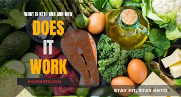 Keto Diet: Understanding the Basics of Ketosis