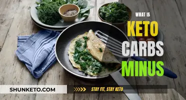 Keto Carbs Minus: Understanding the Basics of Ketogenic Diets