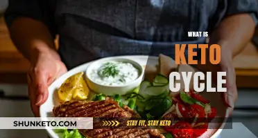 Understanding the Keto Cycle: Benefits, Phases, and Sustainable Weight Loss