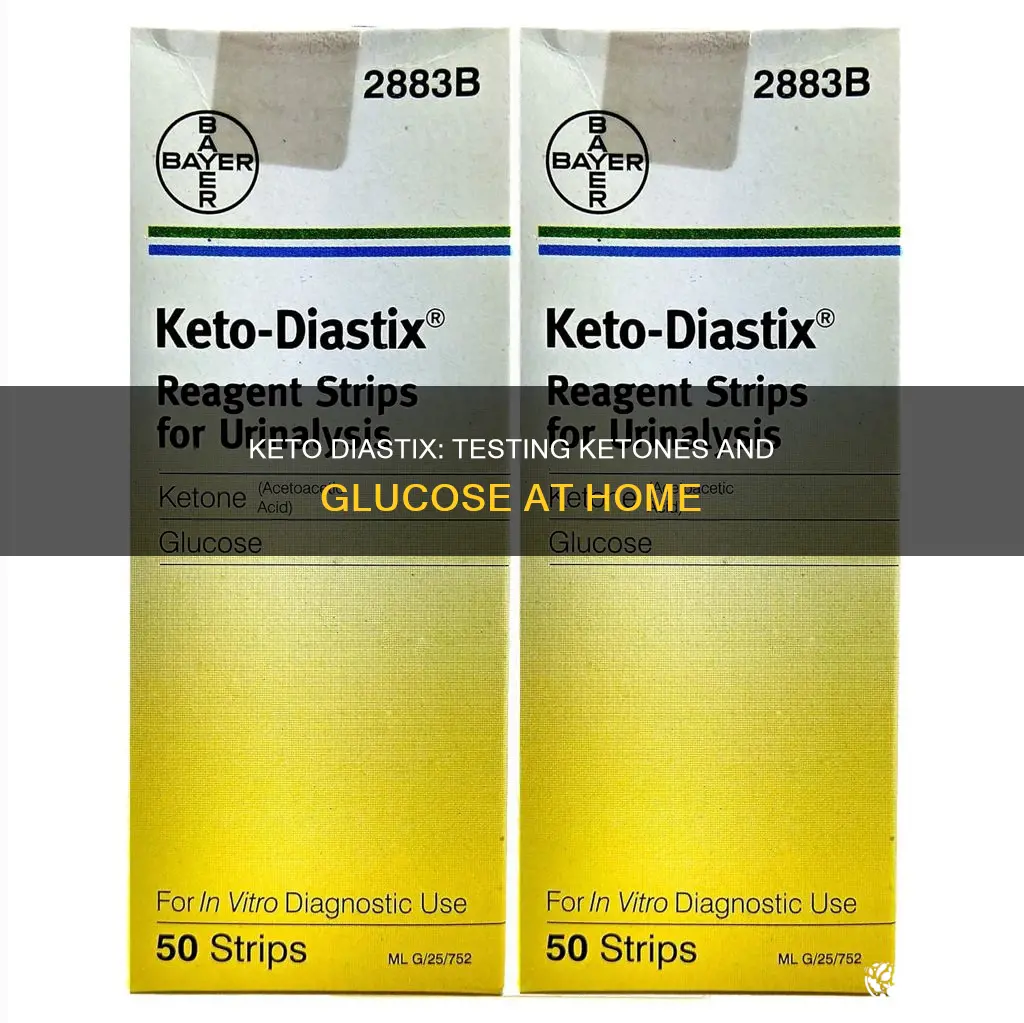 what is keto diastix used for