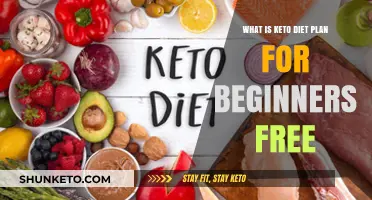 Keto Diet Plan for Beginners: Free Guide to Start Low-Carb Eating