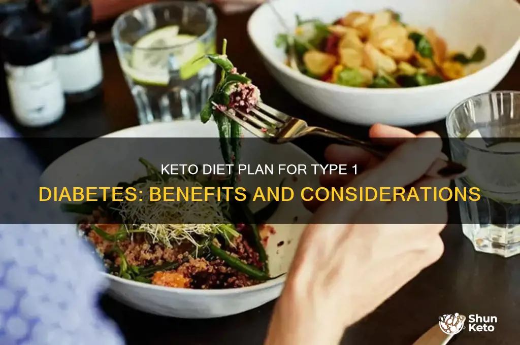 what is keto diet plan for diabetes type 1