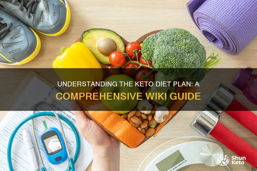 what is keto diet plan wiki