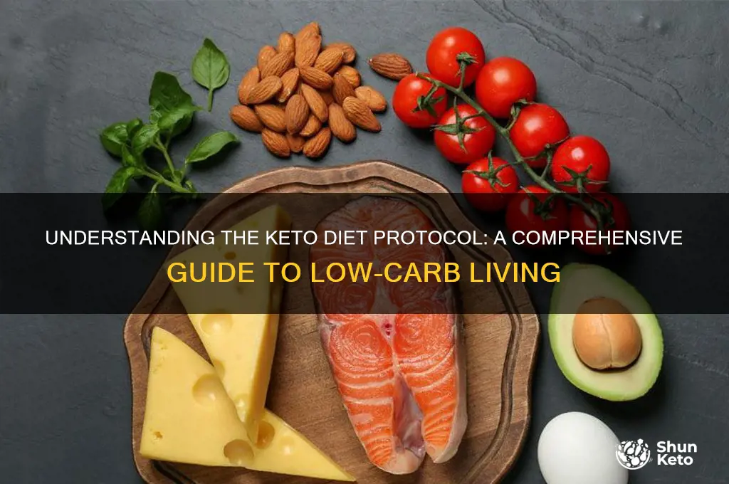 what is keto diet protocol