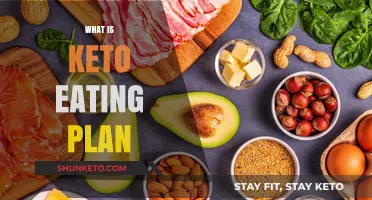 Understanding the Keto Eating Plan: A Comprehensive Guide to Low-Carb Living