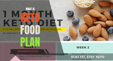 Keto Food Plan: Understanding the Basics of Ketogenic Dieting