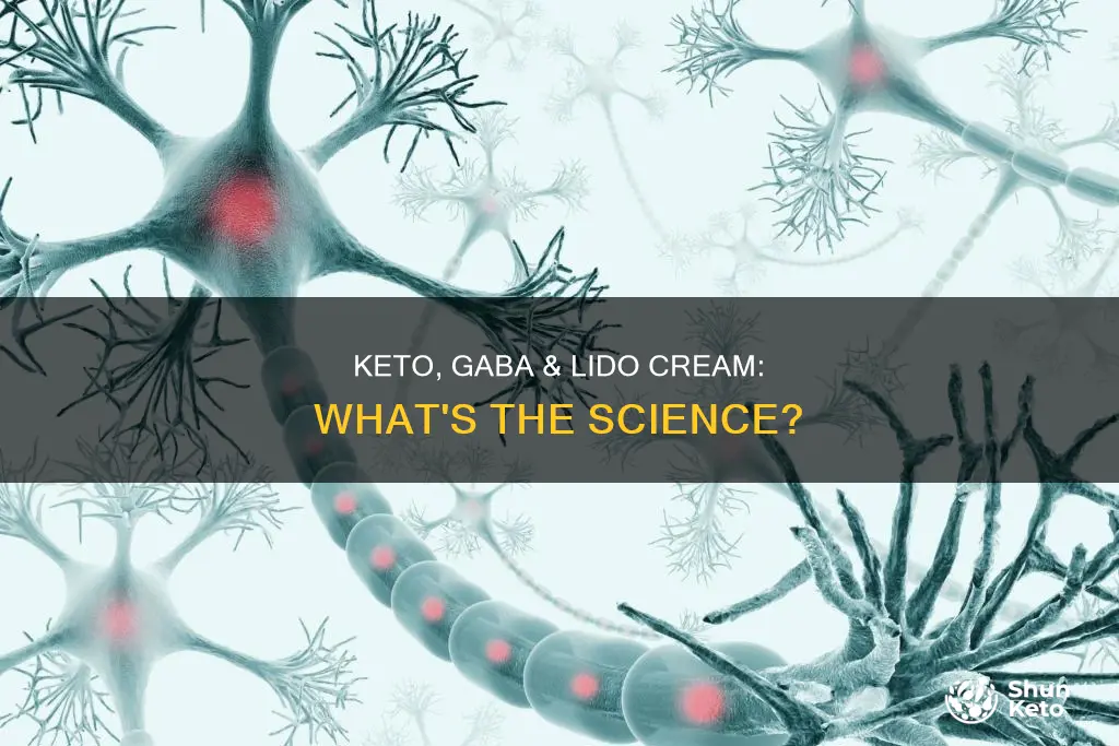 what is keto gaba lido cream