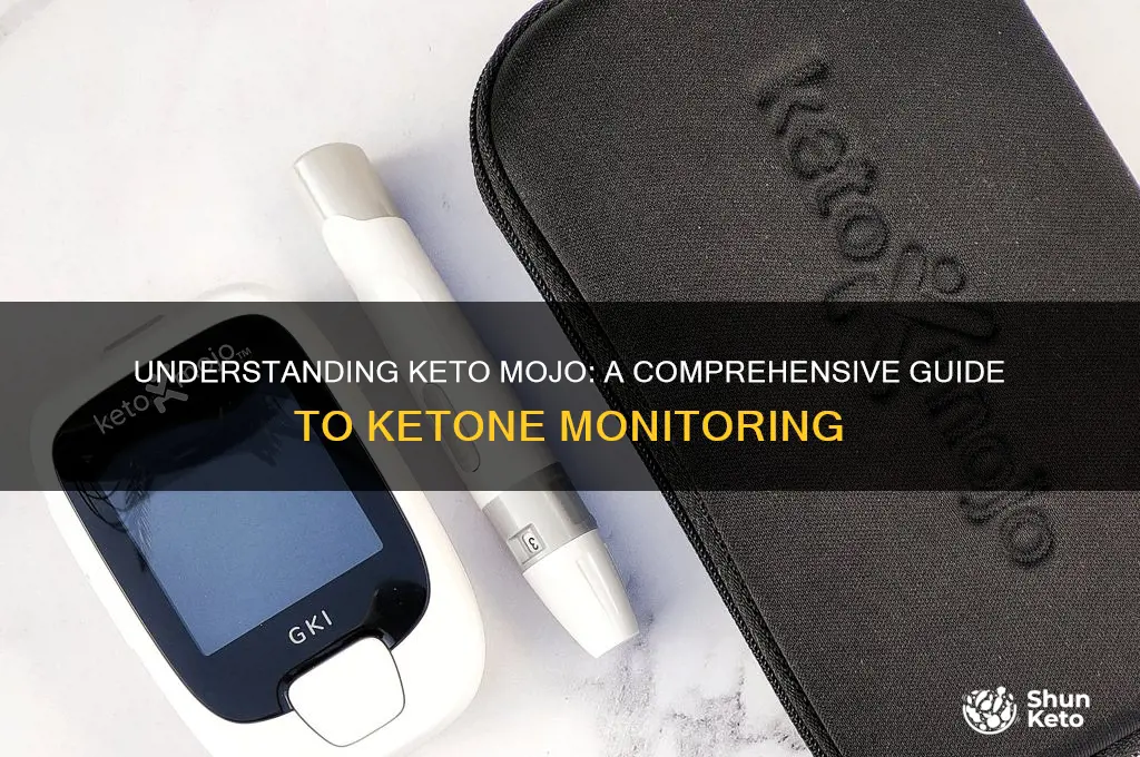 what is keto mojo
