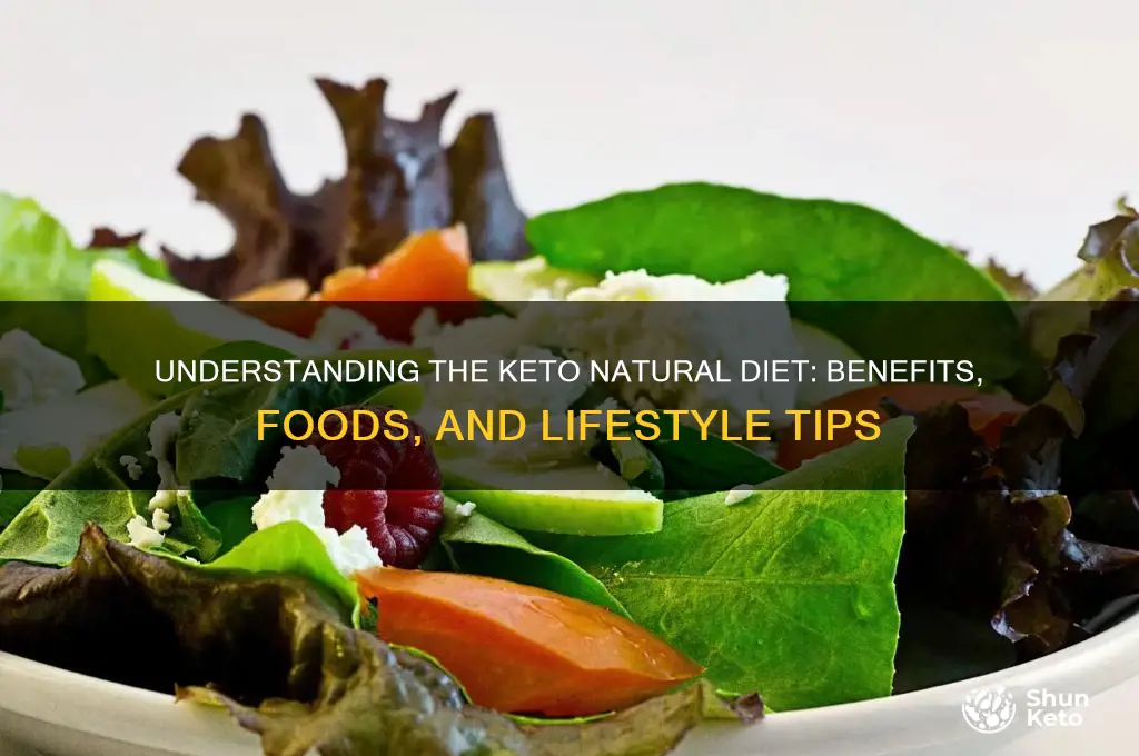 what is keto natural diet