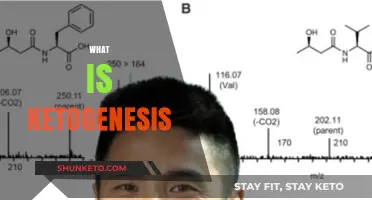 Understanding Ketogenesis: How Your Body Produces Ketones for Energy