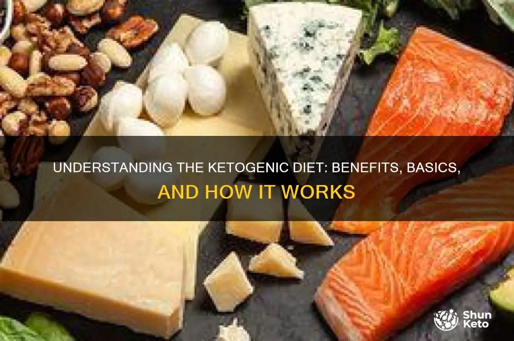 what is ketos diet
