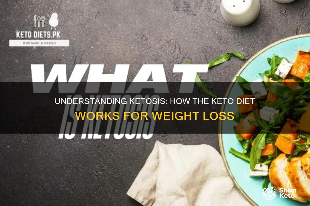what is ketosis and the keto diet